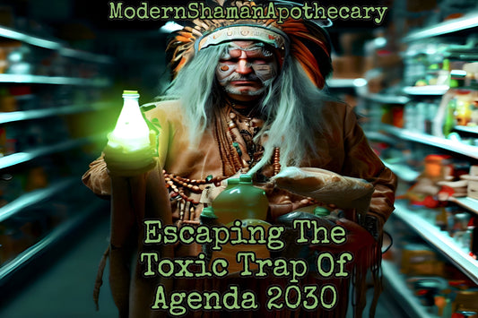 Escaping the Toxic Trap of Agenda 2030