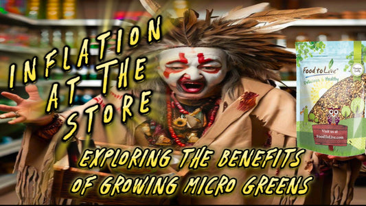 Inflation at the Store: Exploring the Benefits of Growing Micro Greens