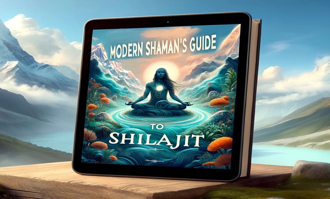 Modern Shaman Guide to Shilajit